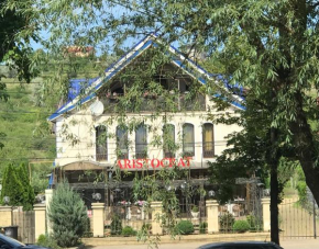 Pensiunea Aristocrat Iasi